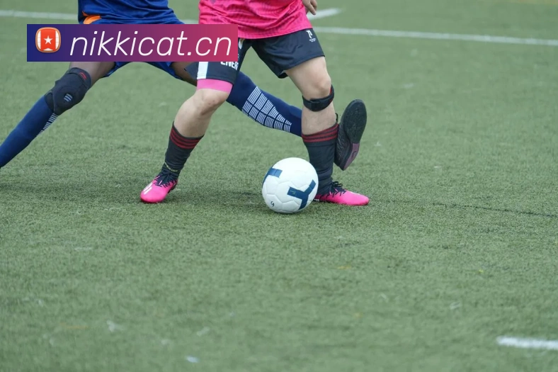 华体官网登录入口手机版服务体系